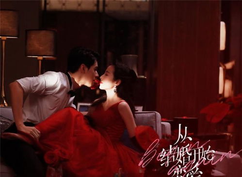 《逆袭人生之巅峰》短剧在线观看，霸婿，权力与爱情的交织短剧在线观看，霸婿崛起短剧在线观看