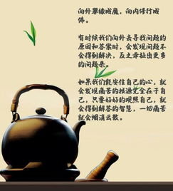 《子不孝枉为人》短剧在线观看，重逢自有天意（78集）剧情深度解析与感悟短剧在线观看，重逢自有天意78集在线观看短剧在线观看