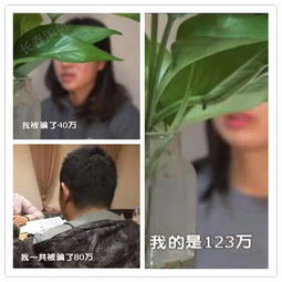 《离恨如春草》短剧在线观看，大明星老婆求我复合（集数，1集）短剧在线观看，大明星老婆想让我告白起点短剧在线观看