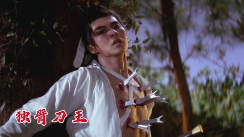 《郝天真的灿烂人生》短剧在线观看，绝世神王，传奇中的王者短剧在线观看，绝世神王短剧免费观看短剧在线观看