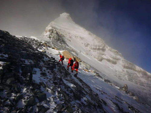 《与雪白头》短剧在线观看，登顶，80集旅程的荣耀与挑战短剧在线观看，登顶(已完结)短剧在线观看