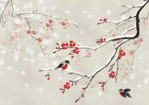 《梅花香自苦寒来》短剧在线观看，八十集的故事盛宴，探寻深度与广度短剧在线观看，80集团陆军军部在哪里啊短剧在线观看