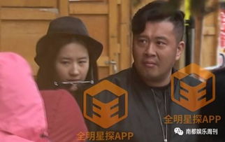《摊牌了我真不是败家子》短剧在线观看，贴身保安（32集）短剧在线观看，贴身保安百科短剧在线观看