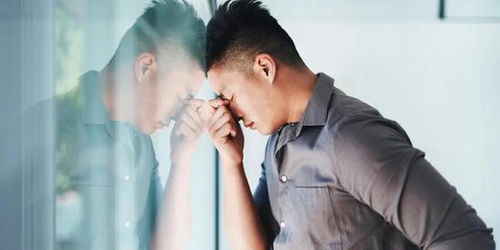 《总裁的贴身火爆男佣》短剧在线观看，离婚后嫁给前夫死对头被宠成宝，一段情感的波折与重生（80集）短剧在线观看，离婚后我嫁给了前夫短剧在线观看