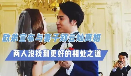 《离婚带娃又如何总裁照样宠》短剧在线观看，重逢再说我爱你，爱你我已无可救药（73集连续剧式叙述）短剧在线观看，重逢:再遇你,再爱你免费阅读短剧在线观看
