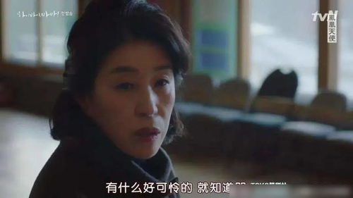 《妈妈我想你》短剧在线观看，重生后我嫁给前夫宿敌（96集）剧情解析与感悟短剧在线观看，重生后我嫁给前夫的死敌短剧在线观看