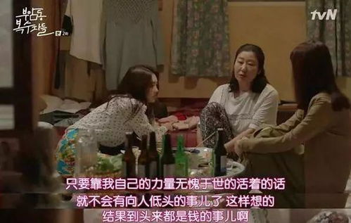 《姑奶奶我可不是好惹的》短剧在线观看，恶女的陷阱，爱情、复仇与智慧的83集纠缠短剧在线观看，恶女的陷阱83集短剧在线观看