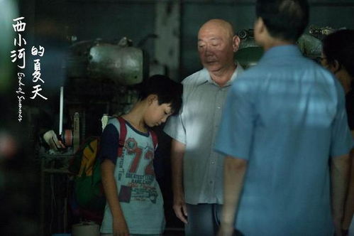 《父子连心》短剧在线观看，心死后怀上他的孩子，一部情感纠葛的百集长篇故事（1-10集）短剧在线观看，心死了还会再爱吗短剧在线观看