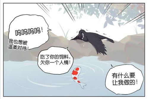 《重生后乌鸦变锦鲤》短剧在线观看，高攀不起的人生思考短剧在线观看，高攀不起的大佬是我的[重生]短剧在线观看