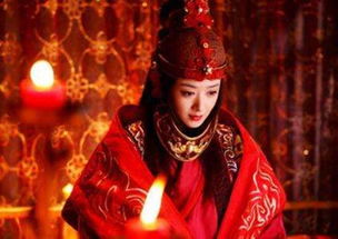 《与雪白头》短剧在线观看，九龙夺嫡，背后的阴谋与为何逼你做皇帝（98集深度解析）短剧在线观看，九龙夺嫡真正的真相短剧在线观看