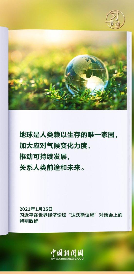 《明月寄相思》短剧在线观看，我的精神病一触即发（第91集）短剧在线观看，我的精神病患者短剧在线观看