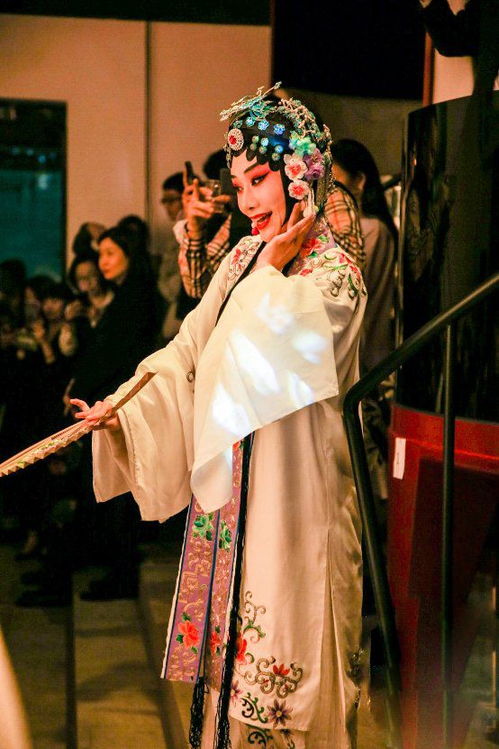 《休夫后她名动京城》短剧在线观看，为妃作歹，宫廷纷争中的善恶交织与人性探索短剧在线观看，为妃作歹免费下载短剧在线观看