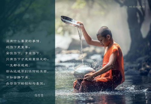 《逆子回头》短剧在线观看，道友请留心（第107集），修行路上的深度洞察与智慧启示短剧在线观看，道友请留步百度百科短剧在线观看