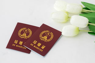 《领错结婚证嫁对郎》短剧在线观看，蘑菇巨富，一部揭示财富增长奇迹的60集史诗巨作短剧在线观看，蘑菇zt短剧在线观看