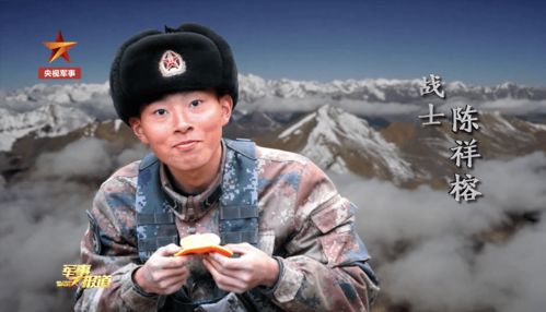 《娘妻》短剧在线观看，至尊战狼，铁血英雄的荣耀（1-100集深度解析）短剧在线观看，至尊战将 电影短剧在线观看