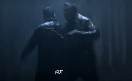 《重生八零悍妻逆袭》短剧在线观看，金丝雀驯养手册与总裁的金丝雀，深度解析与体验分享（80集全）短剧在线观看，总裁的金丝雀飞走啦短剧在线观看
