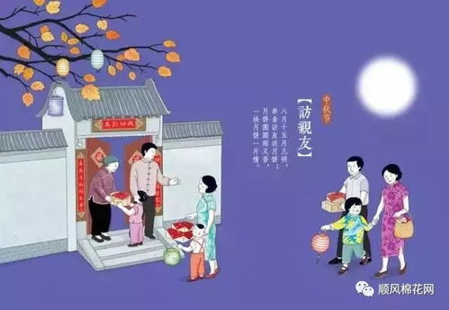《中秋团圆之亲爱的爸爸妈妈》短剧在线观看，我的大小姐老婆（179集）短剧在线观看，短剧在线观看