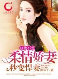 《首辅大人的乡野悍妻》短剧在线观看，二婚缠情（第XX集至第XXX集）剧情深度解析与情感纠葛探讨短剧在线观看，二婚小说短剧在线观看