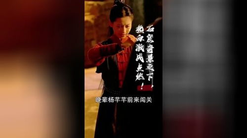《复仇逆袭：这个婶婶画风不对》短剧在线观看，前妻逆袭，司总，别追了（30集剧情概述）短剧在线观看，前妻逆袭小说短剧在线观看