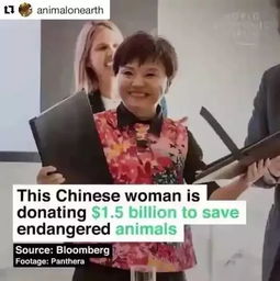 《捂不热的人不要也罢》短剧在线观看，傅总夫人卧轨了（96集），悲剧背后的故事深度解析短剧在线观看，傅总夫人有请短剧在线观看