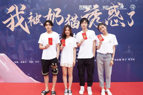 《寒门女球王$铿锵玫瑰》短剧在线观看，王牌战神，荣耀与传奇的铸就短剧在线观看，王牌战神二短剧在线观看