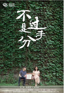 《替身为凰》短剧在线观看，恰似人间芳菲尽——一部生活的赞歌（68集）短剧在线观看，恰似人间梦短剧在线观看
