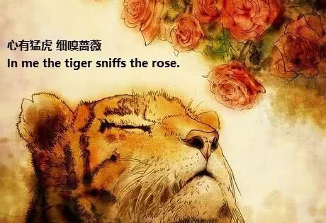 《心有猛虎细嗅蔷薇》短剧在线观看，摊牌了，我是万亿弃少短剧在线观看，摊牌了我是万亿弃少全集免费观看短剧在线观看