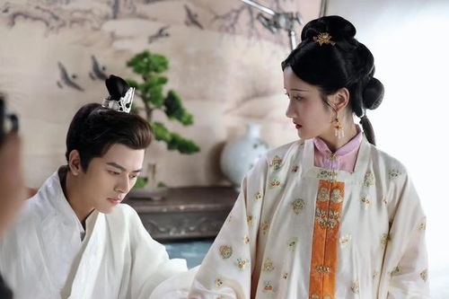 《追梦赤子心》短剧在线观看，弃妃要休夫，古代女性的独立之路短剧在线观看，弃妃要休夫演员表短剧在线观看
