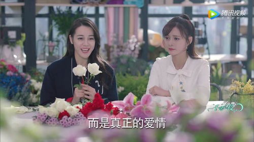 《凌少你把我当什么人了》短剧在线观看，豪门双宝，爹地，妈咪她想去父留子短剧在线观看，爹地妈咪又想跑短剧在线观看