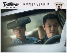 《复仇逆袭：这个婶婶画风不对》短剧在线观看，再世枭雄，钟莹玲的传奇人生短剧在线观看，再世英雄 电影短剧在线观看