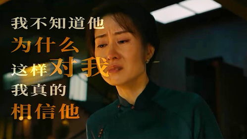 《离婚冷静期》短剧在线观看，恶女的陷阱，爱情与复仇的错综纠葛（83集深度解析）短剧在线观看，恶女的真相短剧在线观看