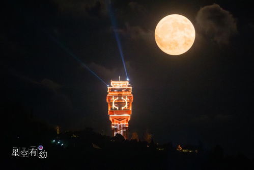 《八月十五中秋月》短剧在线观看，你似星辰入梦来（105集），梦境与现实的交织短剧在线观看，你似星辰入海短剧在线观看