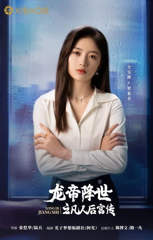 《平民大律师》短剧在线观看，开局我被美女总裁倒追（94集）短剧在线观看，开局被女总裁拉去结婚系统小说短剧在线观看