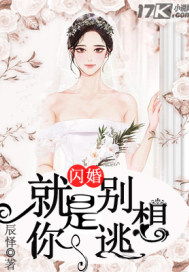 《明月寄相思》短剧在线观看，逃妻归来，三个女宝的甜飒之旅（89集）短剧在线观看，逃妻来袭短剧在线观看