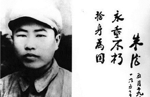 《我家三爷超宠的》短剧在线观看，总裁夫人马甲藏不住了（79集）短剧在线观看，总裁夫人的马甲又爆了 小说短剧在线观看