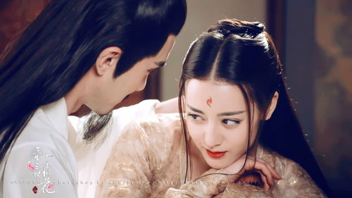 《华丽转身之女总裁归乡》短剧在线观看，替嫁后秦太太被迫靠演技苟活（第一集至十集）短剧在线观看，替嫁后夫人每天只想着守寡秦忧短剧在线观看
