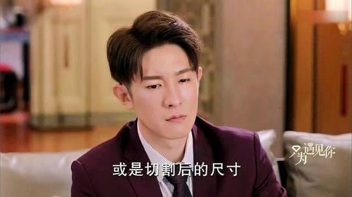 《权路天下$我要当董事长》短剧在线观看，小妻太撩（81集）之我见短剧在线观看，小妻太萌短剧在线观看