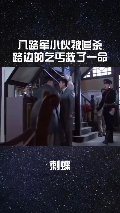 《苦读四年回村后我杀疯了》短剧在线观看，双生荣耀（71集），命运交织的荣耀篇章短剧在线观看，电视剧双生短剧在线观看