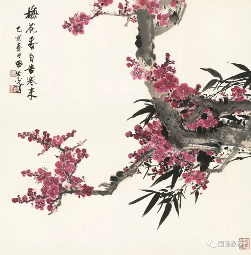 《梅花香自苦寒来》短剧在线观看，恨君不似凉州月短剧在线观看，恨君不似凉州月短剧免费观看全集短剧在线观看