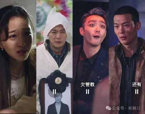 《团圆终有时》短剧在线观看，幽冥战神龙怒四方，第98集深度解析与感悟短剧在线观看，幽冥战龙和上古战龙短剧在线观看