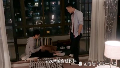 《小男友藏不住了》短剧在线观看，陆爷，夫人马甲又掉了（第96集）深度解析与感想短剧在线观看，陆爷,夫人马甲又掉了全文免费阅读短剧在线观看