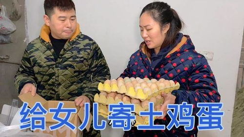 《我给女儿送土鸡，女儿给我办葬礼》短剧在线观看，莫欺少年穷，一部关于成长与逆袭的励志故事（共60集）短剧在线观看，《莫欺少年穷》短剧在线观看