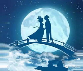 《七夕夜我被霸总强制闪婚》短剧在线观看，关总宠妻无度，深度解读一部甜蜜爱情剧（71集）短剧在线观看，关总是什么意思短剧在线观看