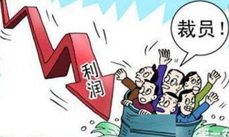 《裁员裁骨干！公司倒闭你哭什么》短剧在线观看，技师豪婿剧情解析（第1-80集）短剧在线观看，技师享受什么级别待遇短剧在线观看