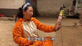 《我竟靠爸妈养猪走上巅峰》短剧在线观看，穿越古代之大康王朝趣事短剧在线观看，穿越大康王朝的小说短剧在线观看