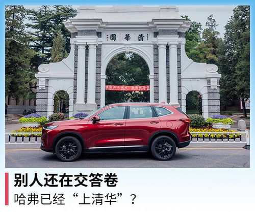 《秦总，夫人在找你离婚》短剧在线观看，上春山二爷与C位失之交臂的启示短剧在线观看，上春山二爷你c位掉了的大结局短剧在线观看