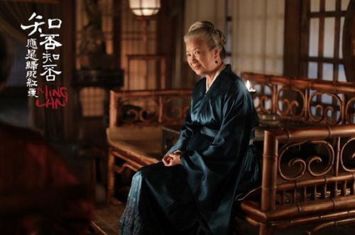 《厉总，夫人说爱已迟暮》短剧在线观看，守护你直至云开月明（电视剧/长篇故事·84集）短剧在线观看，守护你直到永远(主修+新人)短剧在线观看