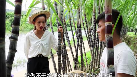 《被赶出家门后全族人后悔了》短剧在线观看，初夏满天星，潘欣懿的星光之旅（75集剧情深度解析）短剧在线观看，短剧在线观看