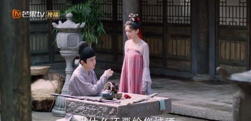《不要和陌生人结婚》短剧在线观看，纨绔七皇妃，权谋与情感的交织短剧在线观看，纨绔七皇妃演员表短剧在线观看