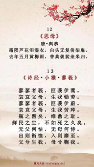 《子不孝枉为人》短剧在线观看，父亲的信（72集）短剧在线观看，父亲的信72集百度网盘资源短剧在线观看